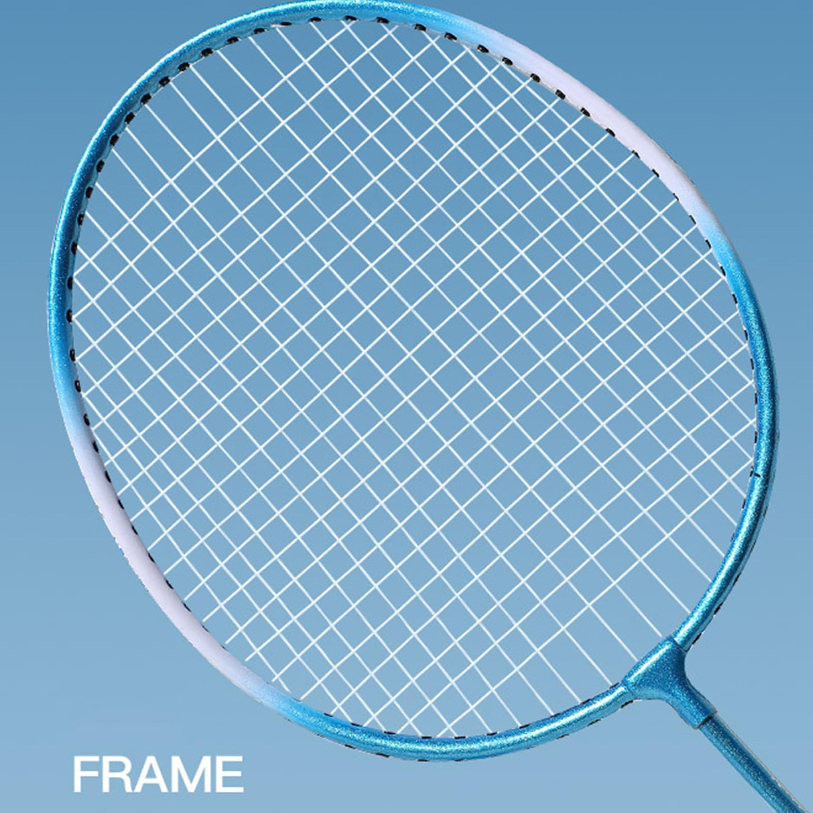 AMONIDA Set da Badminton Ad Alta elasticità con 2 Racchette e 3 Volani per il Gioco Casual, Perfetto per Principianti e Adulti, Design in Lega di Ferro