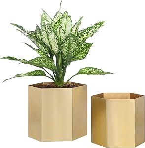 MyGift Handcrafted Metallic Shiny Brass Metal Indoor Plant Vase Pot with Hexagon Shape, Decorative Succulent Cactus Planter Container, Set of 2 - Handmade in India
