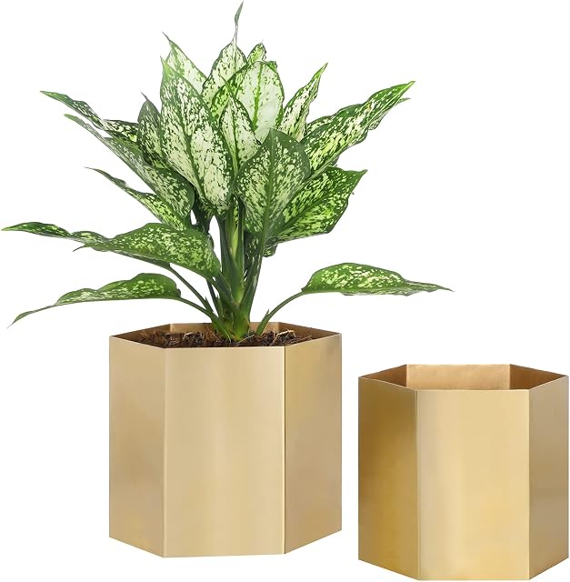 MyGift Handcrafted Metallic Shiny Brass Metal Indoor Plant Vase Pot with Hexagon Shape, Decorative Succulent Cactus Planter Container, Set of 2 - Handmade in India