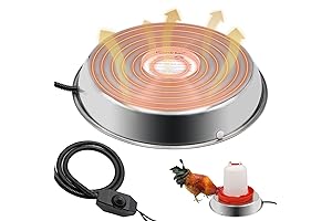 5-Gallon Heated Chicken Waterer: Essential Protection for Winter Poultry