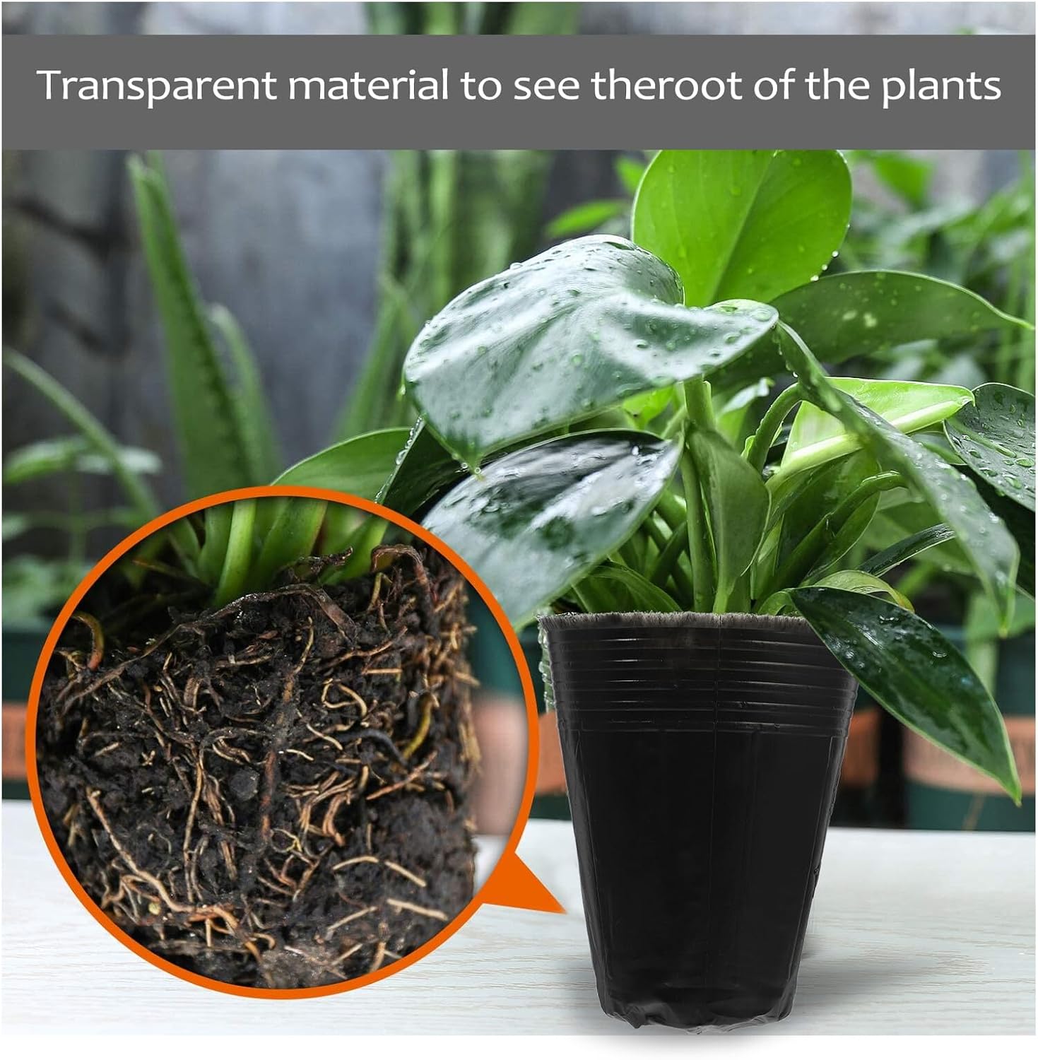 Totority 500pcs Black Plant Nursery Pots and Planting Planter Cups for Garden Seed Starting with Drainage, Portable Plastic Nutrition Cups for Indoor and Outdoor Seedling Growth