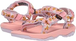 Hurricane XLT 2 (Toddler)