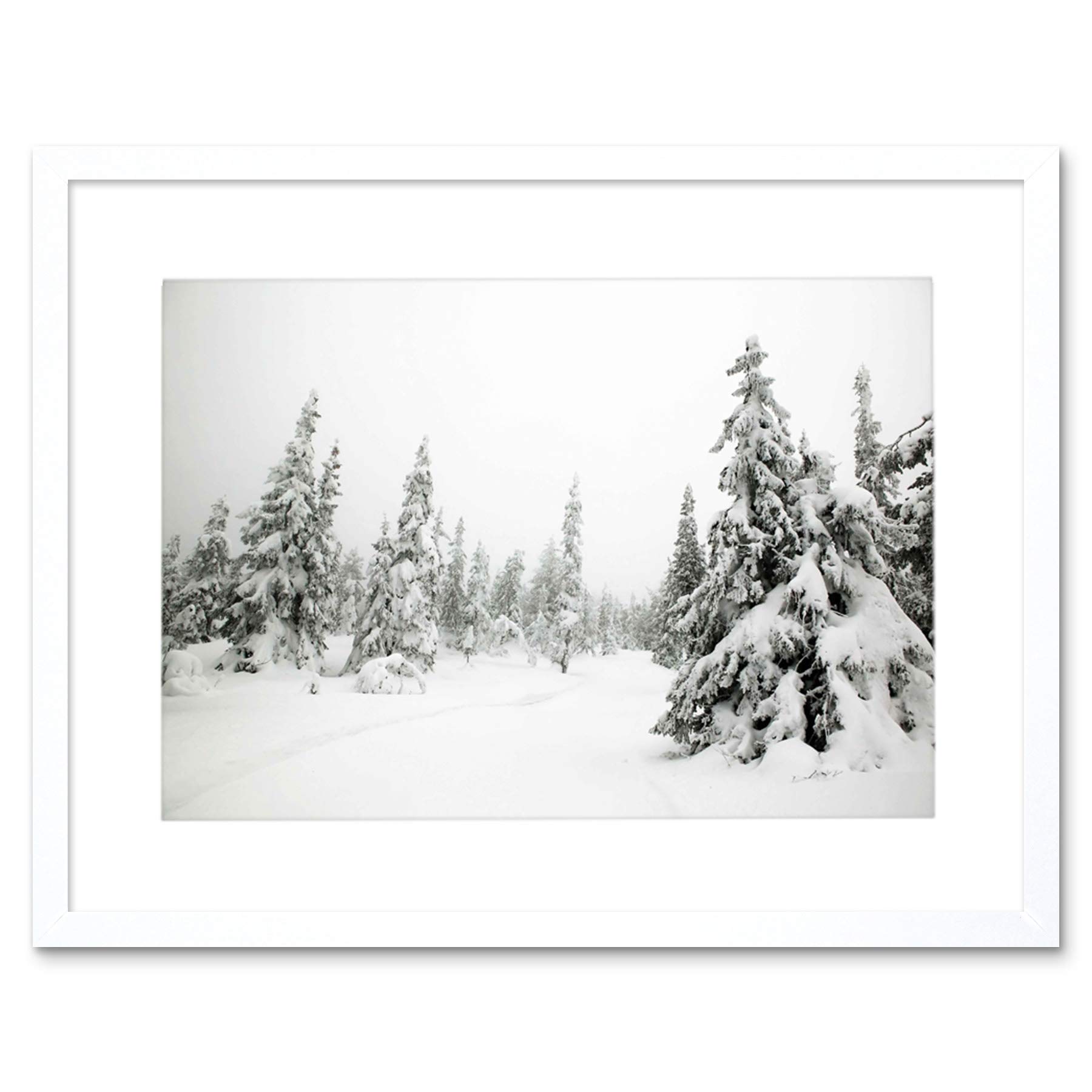 Wee Blue Coo Mp Photo Landscape Winter Scene Snow Forest Trees Picture Framed Wall Art Print