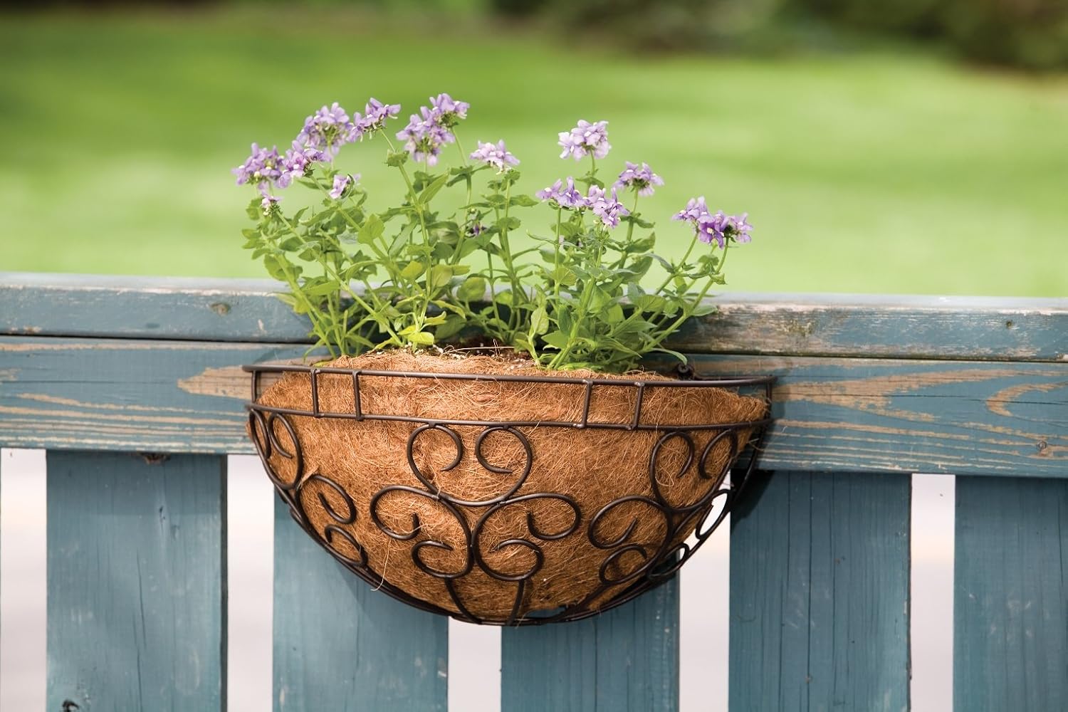 Panacea 88527 Cameo Series Wall Planter, 16-Inch