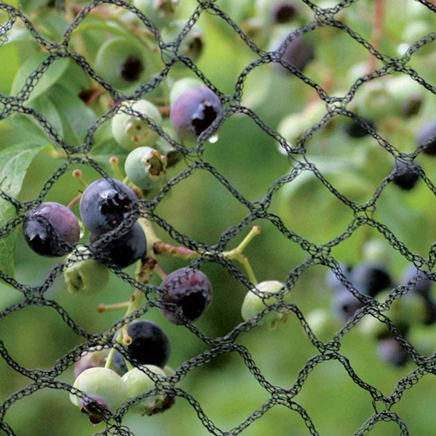 Ariati Black 2 M X 3 M - Anti Bird Netting For Heavy Duty Ponds Fruit Trees Crop Plants Vegetables & Bushes. Strong, Professional Grade Bird Proof Deterrent Prevention Mesh, (2-3-Ari)