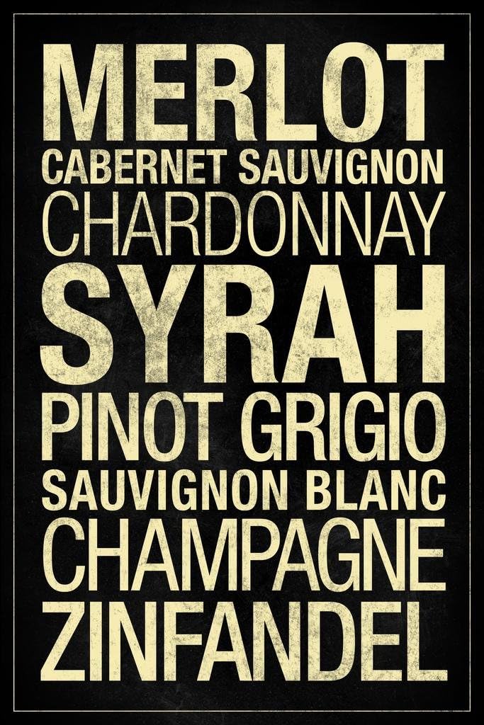 Wines Types Black Cool Wall Art Print Poster 24x36