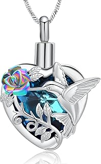 Yinplsmemory Hummingbird Cremation Jewelry Crystal Heart Urn Ashes Necklace for Women Men Memorial Keepsake