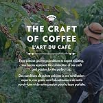 Balzacs Coffee Mélange d'anniversaire de grille-pain moyenne haricot entier Coffee | Riche et complexe mélange d'arabe gastronomique Coffee Haricots canadiens sans noix Coffee | 300g sac