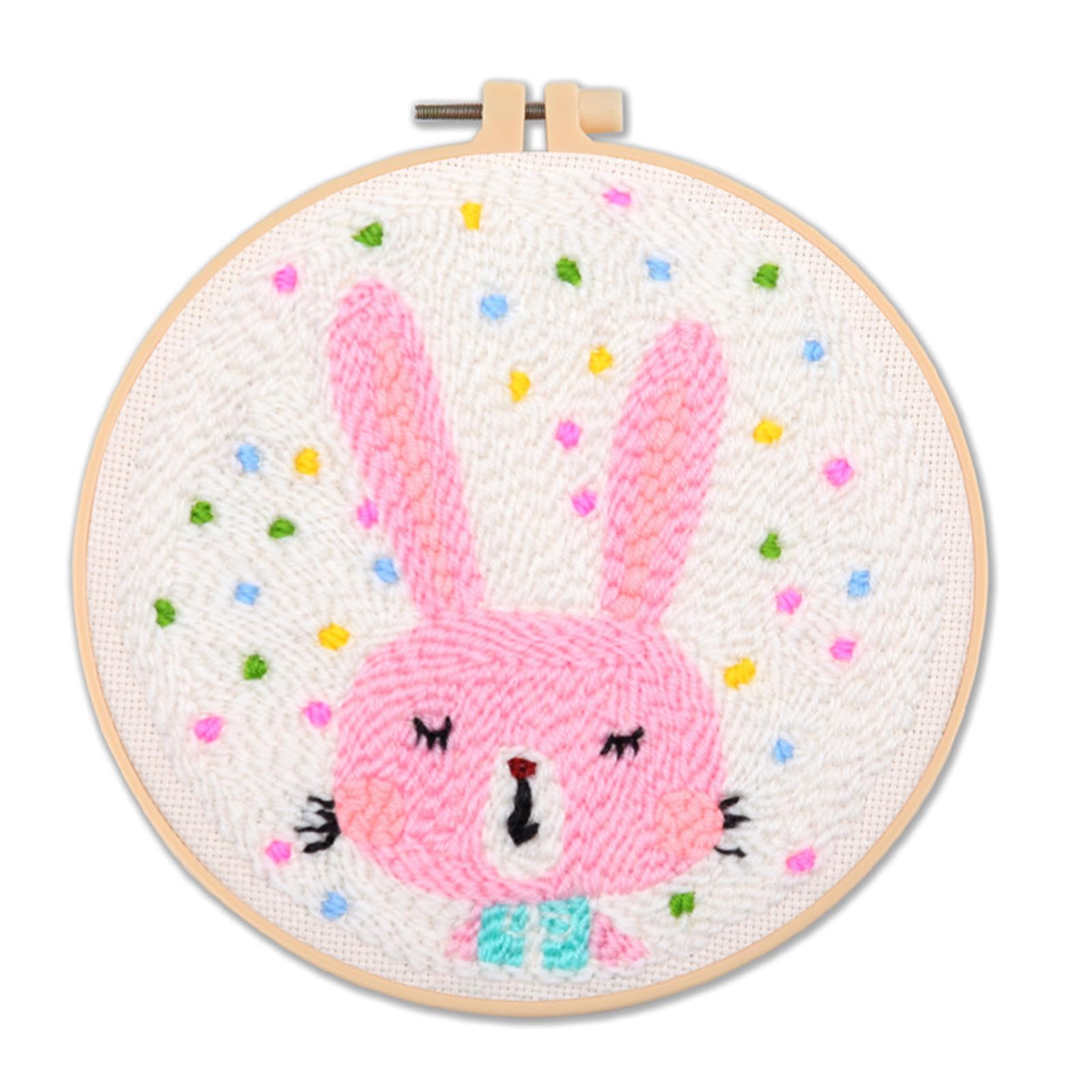 Beginner Punch Needle Embroidery Set with Floral Instructions Cloth Stitch Hoop Thread and Needle Hoop
