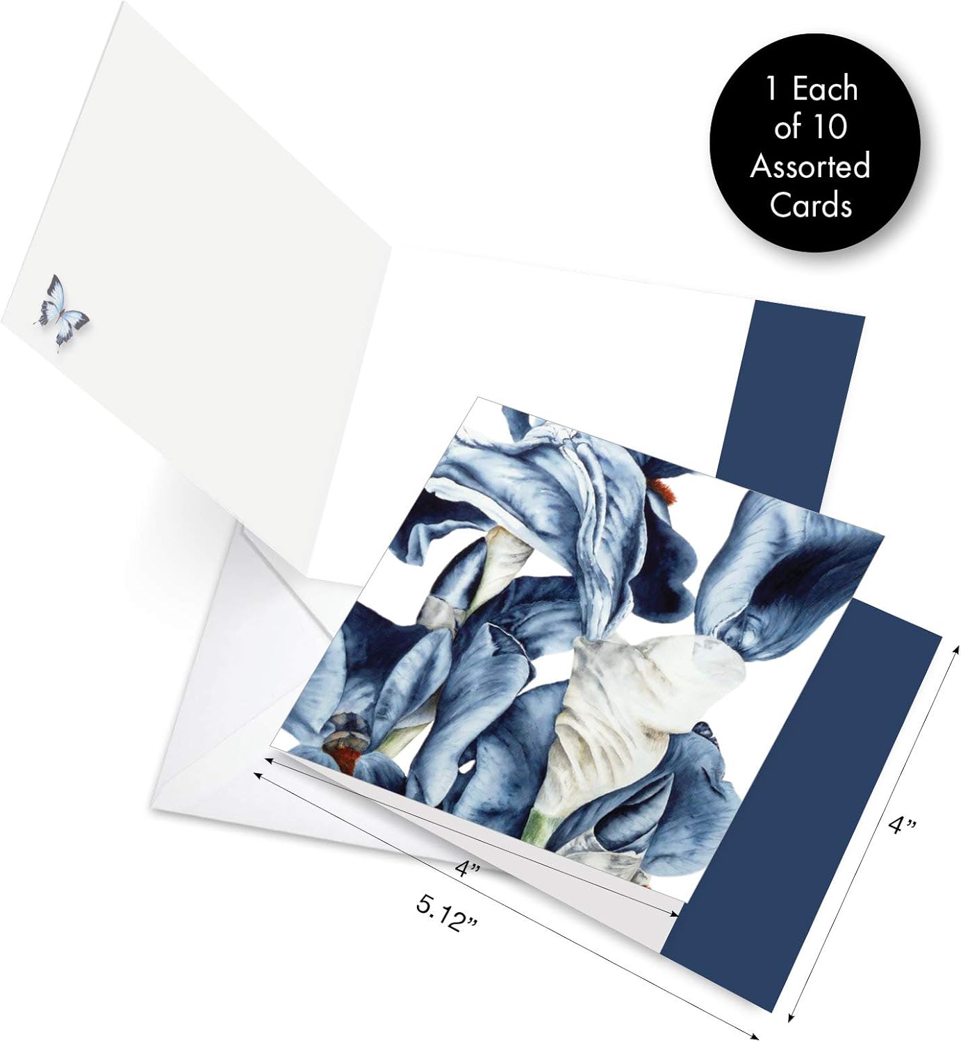 The Best Card Company - 10 Boxed Note Cards with Flowers - Blank Assorted Floral Notecards Bulk (4 x 5.12 Inch) - Iridescent Iris MQ4949OCB-B1x10 : Health & Household