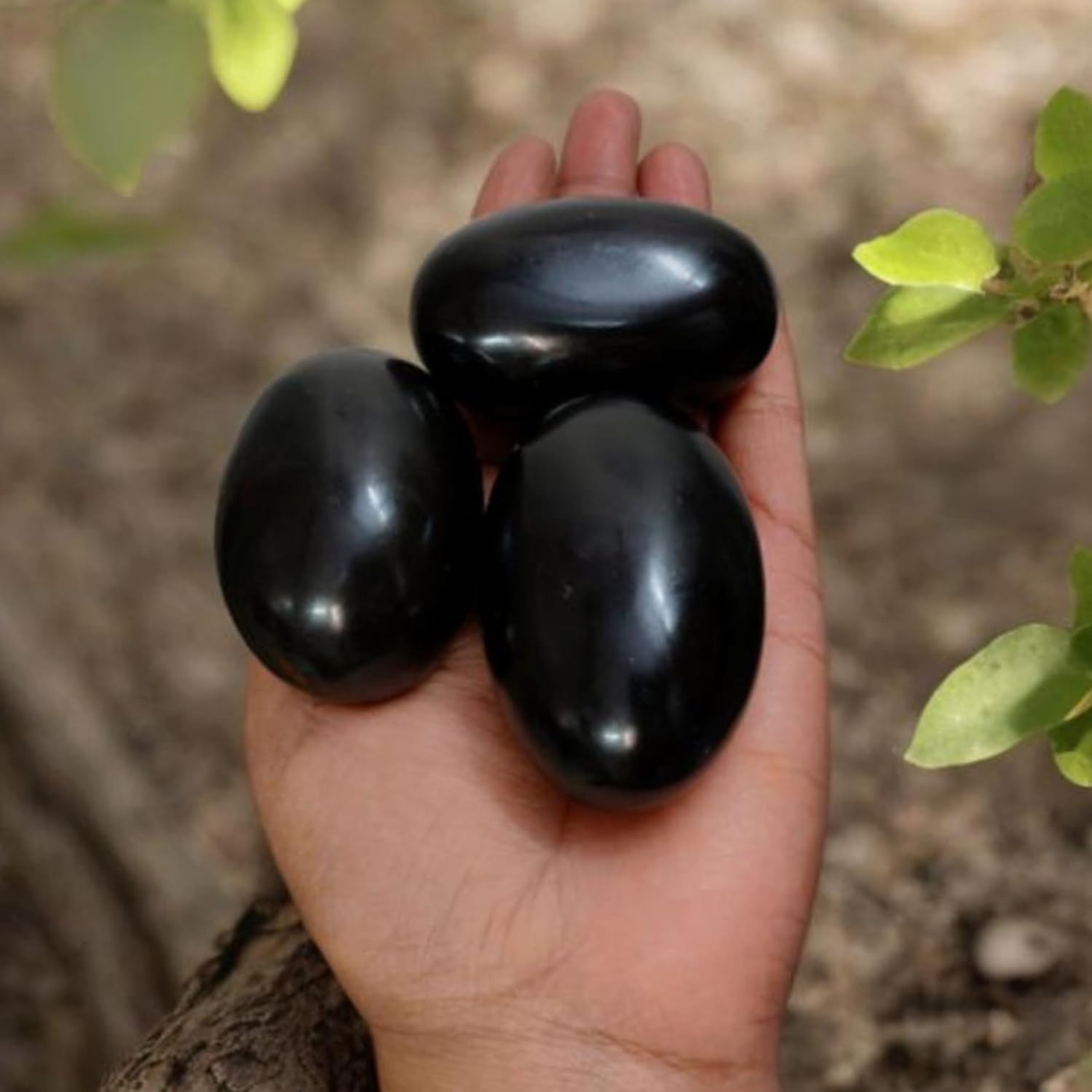 Rare Shaligram Shila Set 3 Pcs 1.75 Inch – Natural Original Gandaki River Shaligram Stone, Lakshmi Narayan Sacred Stones for Hindu Pooja, Shiva Lingam, Meditation & Spiritual Use