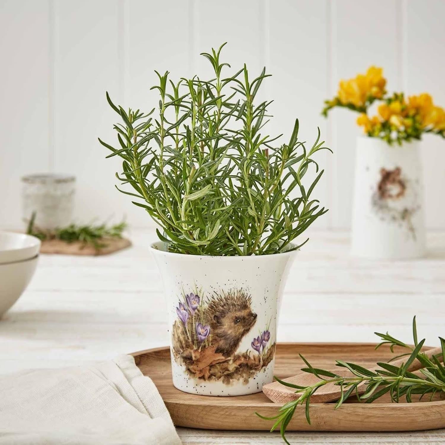 Royal Worcester Wrendale Hedgehog Porcelain Flower Pot Indoor Planter Gift