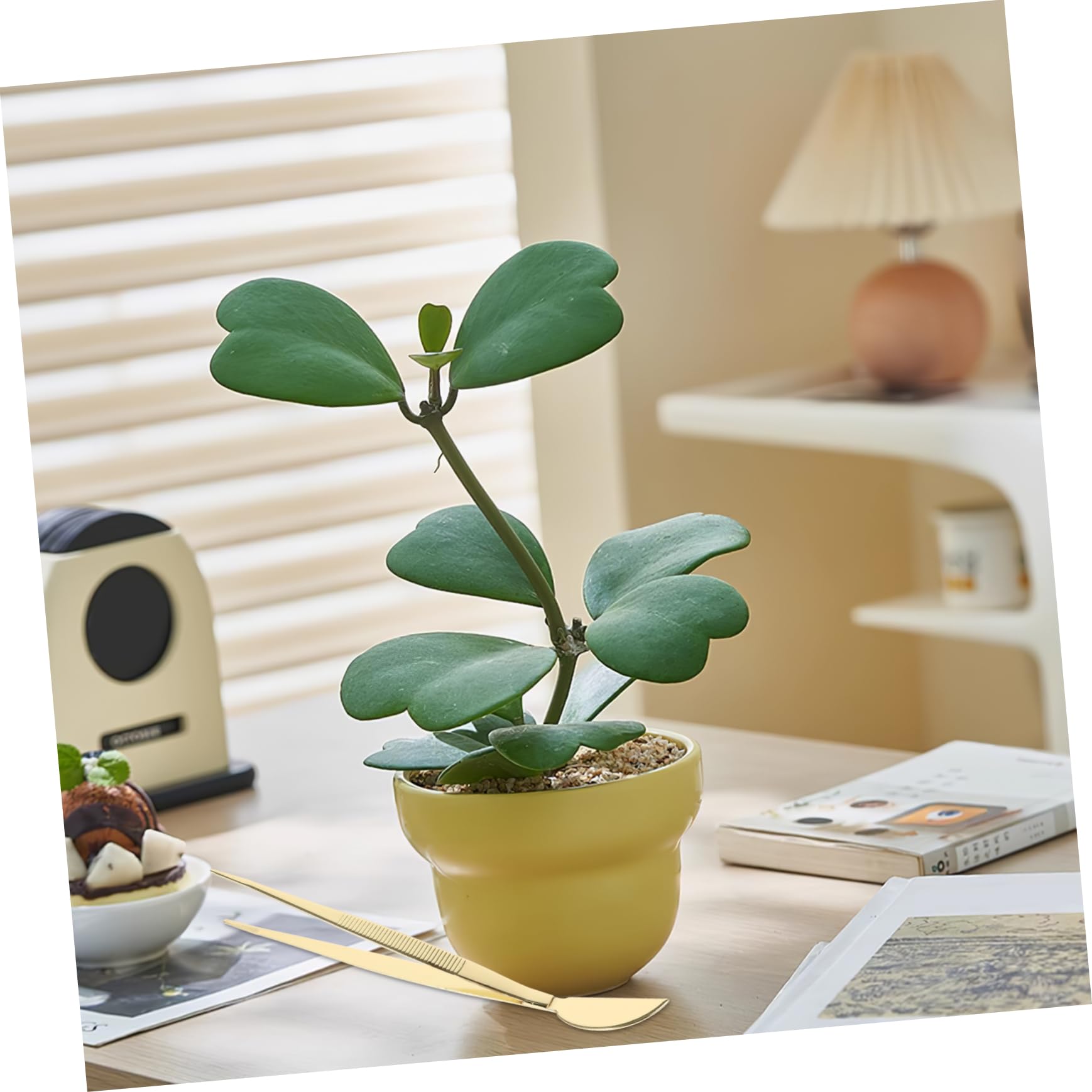 BESPORTBLE 5 Pz Pinzette Per Bonsai Pinzette Per Alberi Bonsai Pinzette Per Raschietto Da Giardino Attrezzi Per Bonsai Pinzette Dritte Comode Pinzette Per Piantare Acciaio Inossidabile Golden