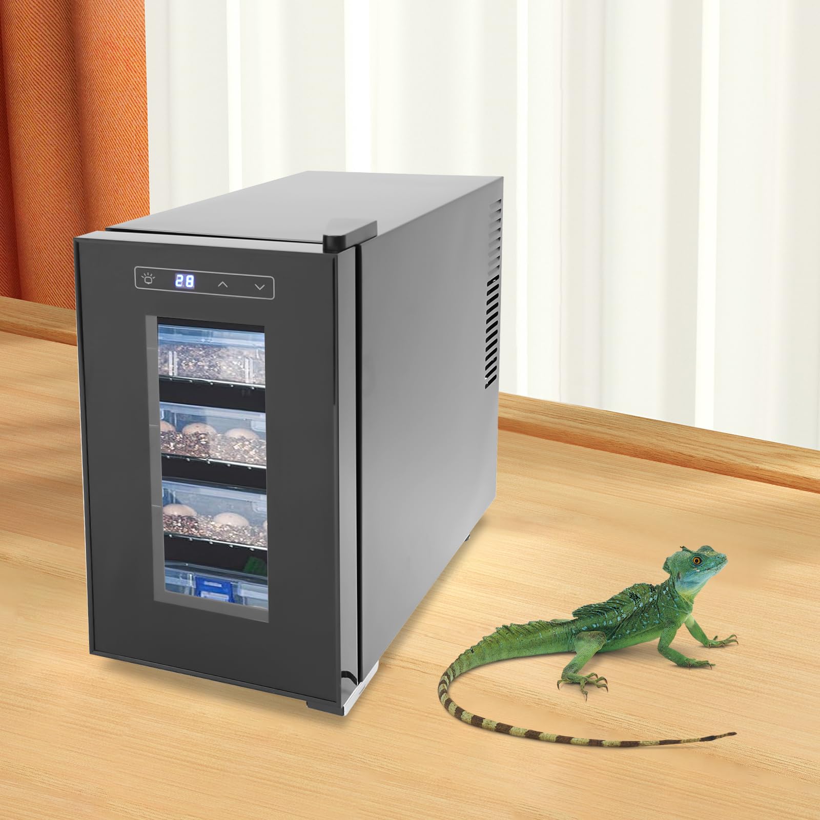 Incubateur pour œufs de reptiles - Contrôle de précision de la température - Capacité : 6,08 gallons - Convient pour les porteurs de reptiles