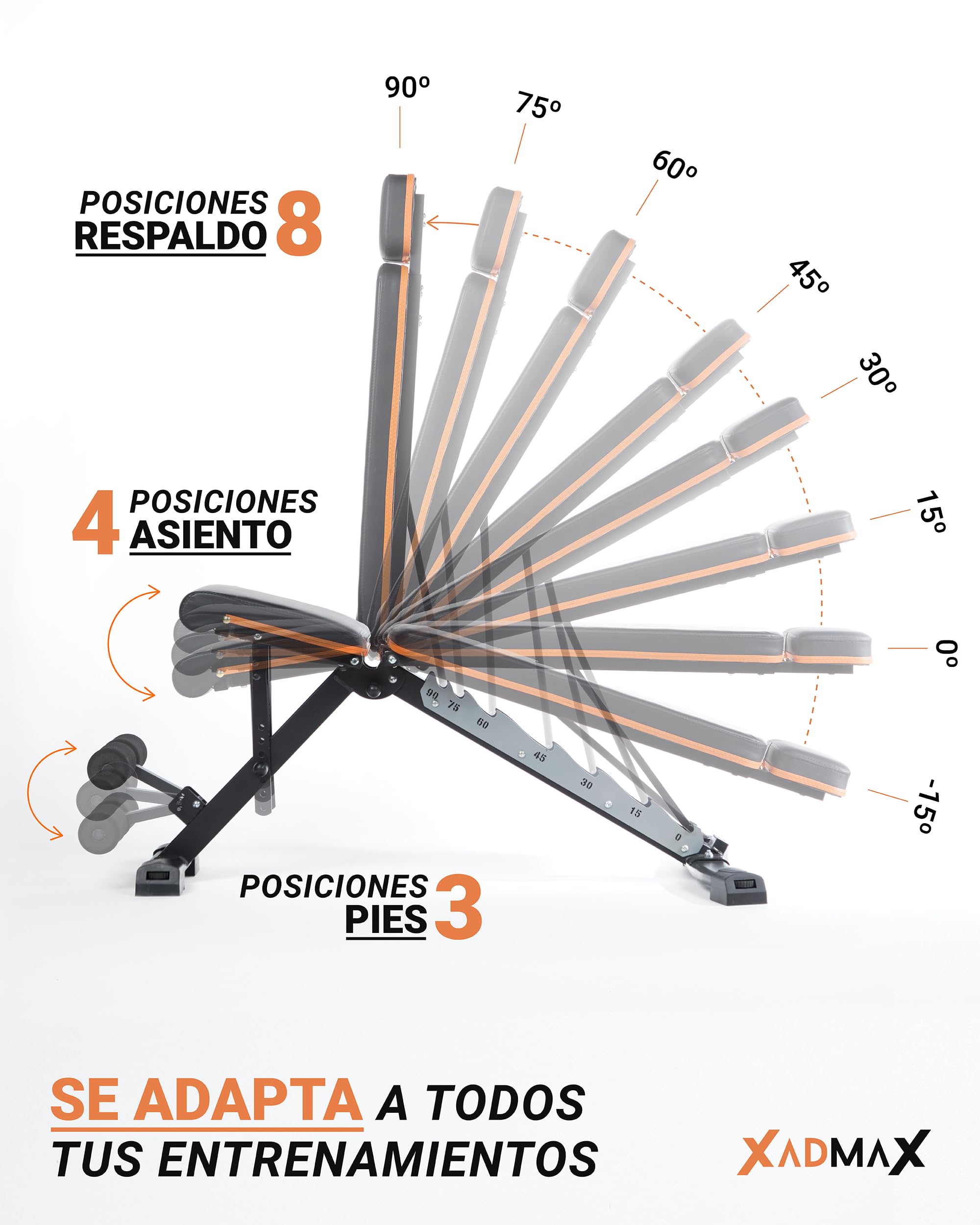 Banco Musculación Plegable, Banco Gimnasio en Casa - Soporta 360 KG Reales, Muy Robusto y Resistente, Ideal para Ejercicio en Casa, Fácilmente Plegable, Press Banca, Maquina Gimnasio, Home Gym