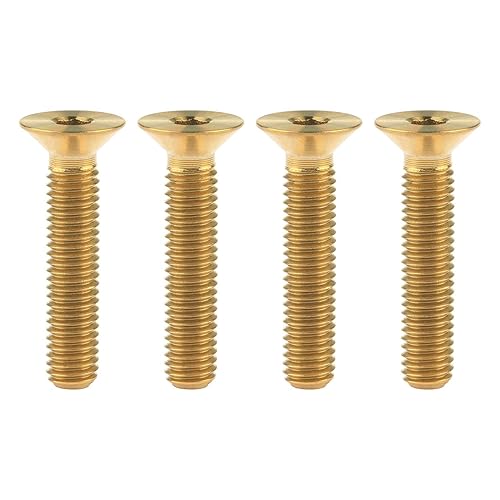 Titanium Ti M5x10 12 15 20 0.984 in cabeza plana avellanada Tornillos hexagonales Tornillos de cabeza plana avellanados (M5x25mm, dorado)