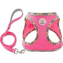 Hipubby Dog Harness Small Sized and Leash Set, No Pull Soft Mesh Puppy Vest, Reflective Breathable Lightweight Pet Harness, Harness for Small Medium Dogs and Cats - Rose Red/Khaki Trim, S