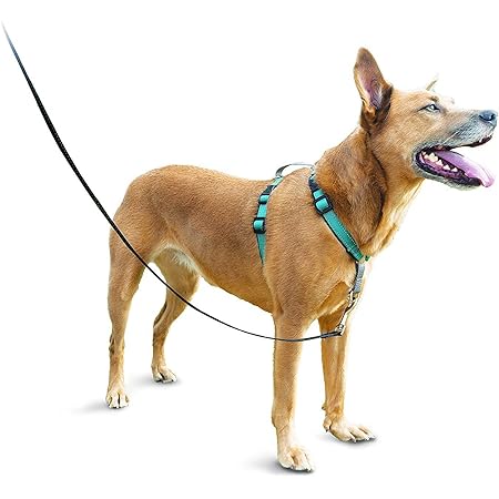 Amazon Petsafe 3 In 1 犬 ハーネス 中型犬 引っ張り防止 調整簡単 抜けない 耐久性が高い 夜間反射 車の中で安全 ティール グリーン Mサイズ Petsafe ハーネス 通販