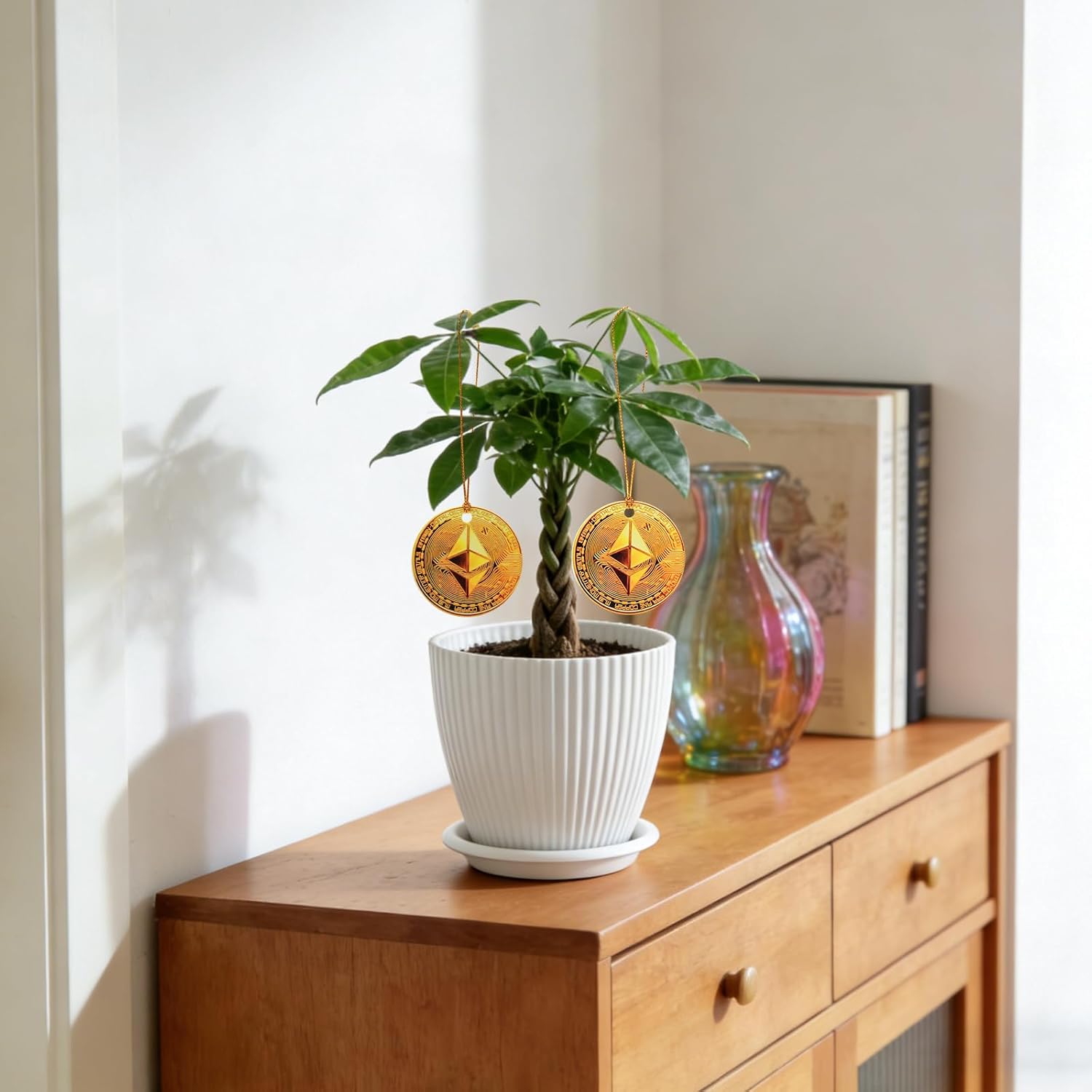 Money Tree Live Plants, Easy to Grow Indoor Houseplants in 4-Inch White Plastic Pot, with Decorative Card B