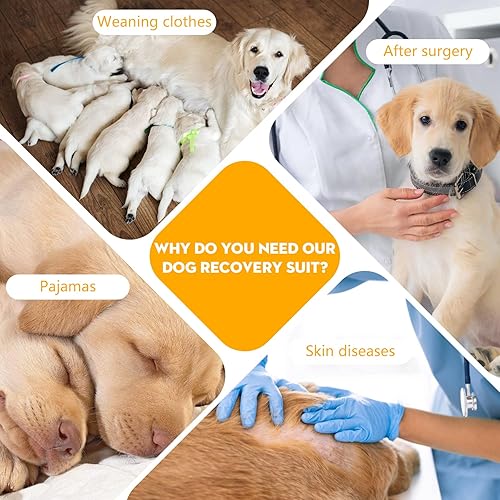 Miniatura 8 de Dotoner Traje de recuperación para perros teñido anudado camisa de recuperación de mascotas traje de cirugía para perros machos hembras collar