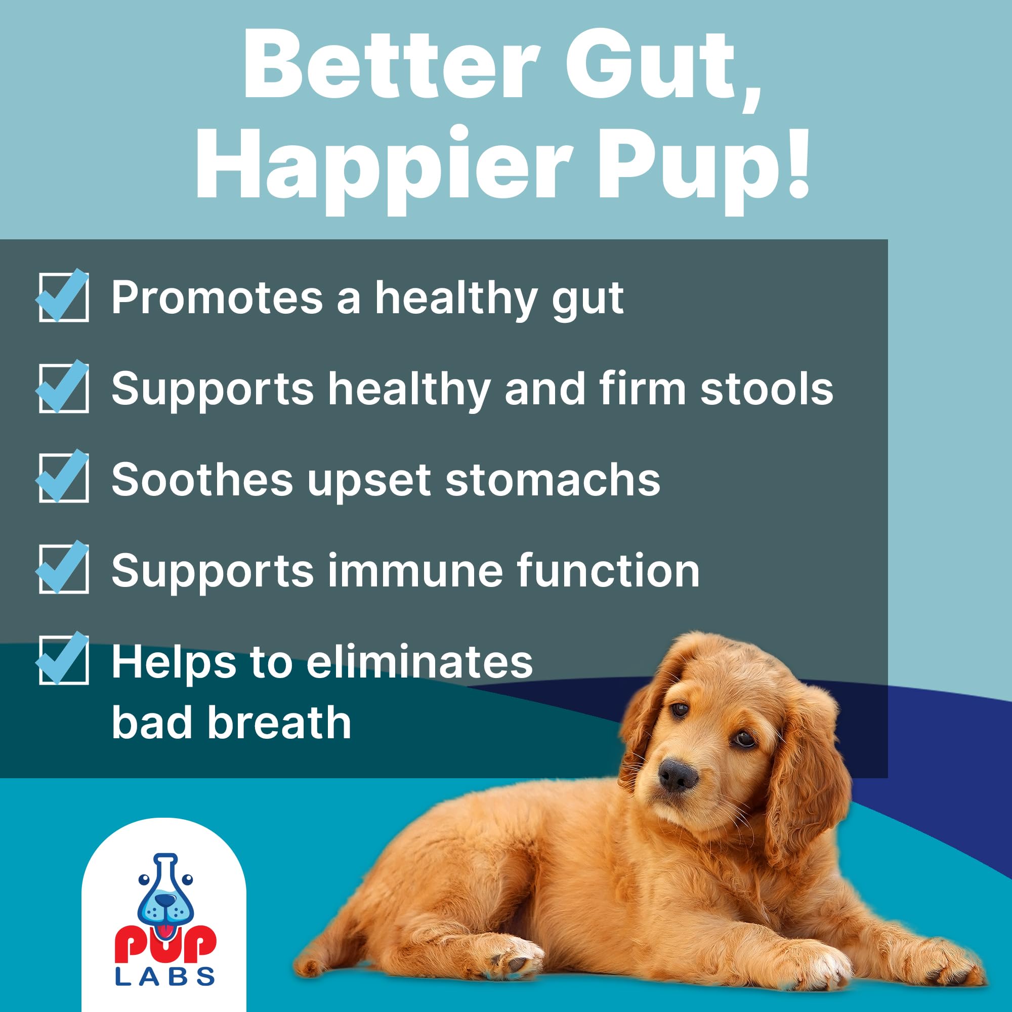 Pup Labs Tummy Essentials Probiotic Chews for Dogs, Supports Gut Health for Dogs and Firm Stools, Helps Eliminate Digestive Dysfunction, Dog Probiotics Made in The USA, 30 Chews