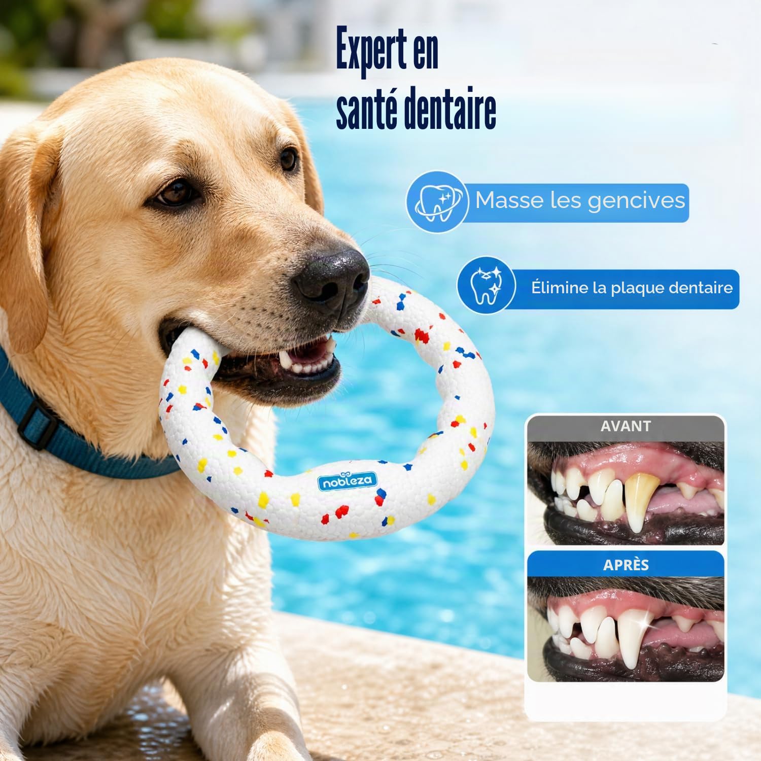 Nobleza 2 Pcs Frisbee pour Chien, Disque Volant Résistant aux Morsures avec Poignée de Traction, Jouet Interactif pour Grand Chien et Chiot, Jeu de Rapport Extérieur et Entraînement Eau, Φ23cm