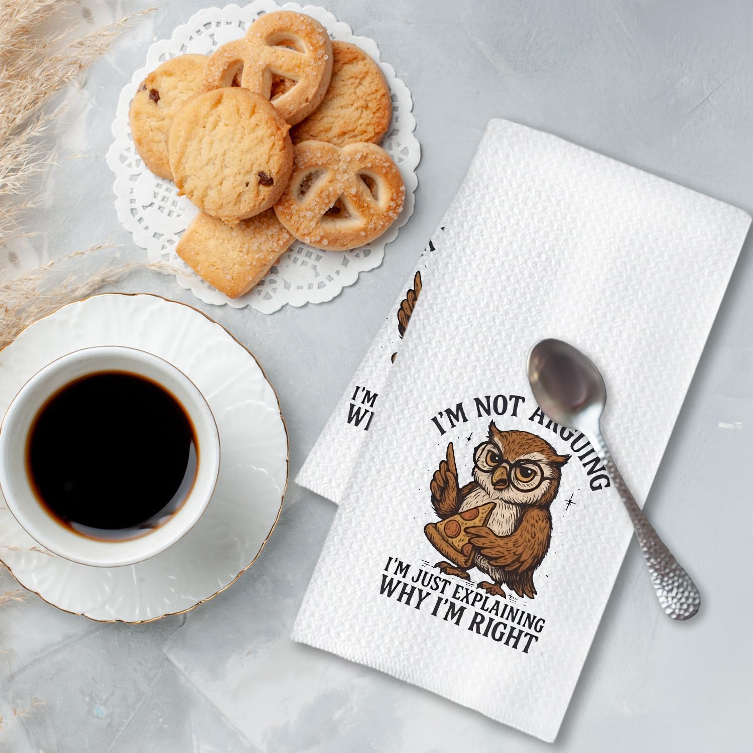 Chicimln Funny Owl Kitchen Towels, Gifts for Owl Loves Decorative Hand Towels for Bathroom, I'm Just Explaining Why I'm Right Dish Tea Towel Drying Cloth for Kitchen Decor, 16x24 Inch - Image 3