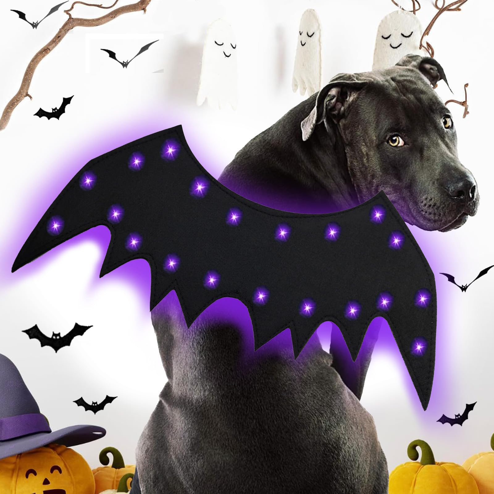Costume da pipistrello per cani, con ali di pipistrello illuminate, costume per Halloween e animali domestici, con ali di pipistrello, per cosplay, divertente, per feste, abbigliamento alla moda, per