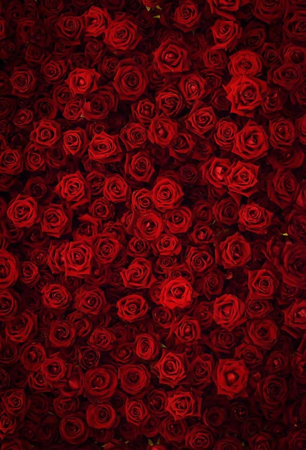 Amazon ロマンチックな赤いバラの背景美しい花束ブーケ写真の背景バレンタインデー甘い花恋人ガールズポートレート写真スタジオの小道具1 5x2m バックペーパー 背景布 通販 Amazon ロマンチックな赤いバラの背景美しい花束ブーケ写真の背景バレンタインデー甘い花恋人ガールズポートレート写真スタジオの小道具1 5x2m バックペーパー 背景布 通販