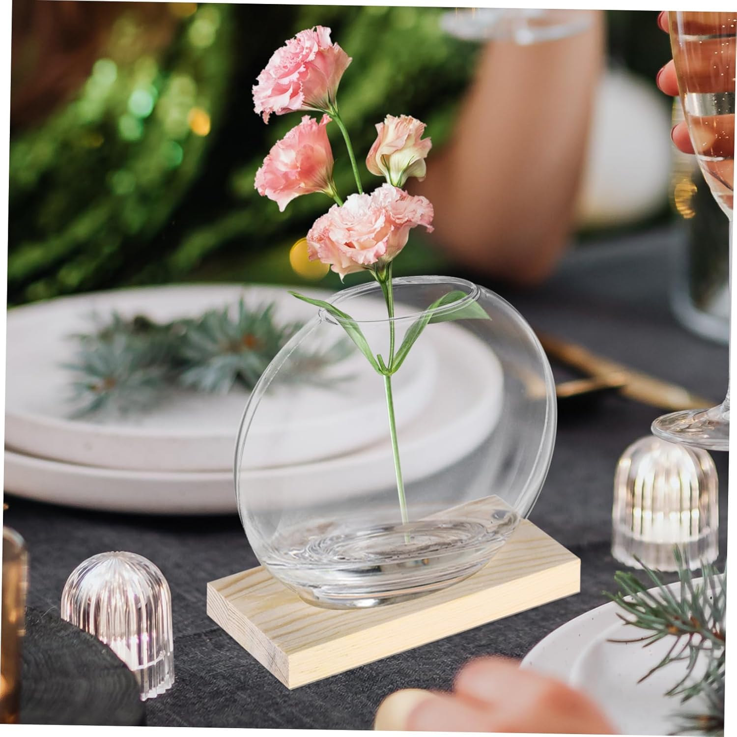 BESPORTBLE 4sets Nordic Style Hydroponic Plant with Stands for Decor Elegant Glass Propagation Holders for Indoor Plants for Displaying Greenery