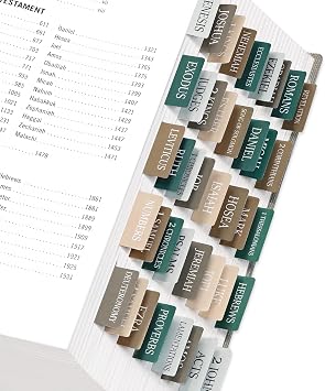 Bible Tabs for Women & Men, Bible Tabs for Study Bible, Large Print Neutral Bible Tabs for Easy Navigation, Bible Index Tabs, 66 Tabs Old & New Testament, Extra 9 Blank Tabs - Winter Wood