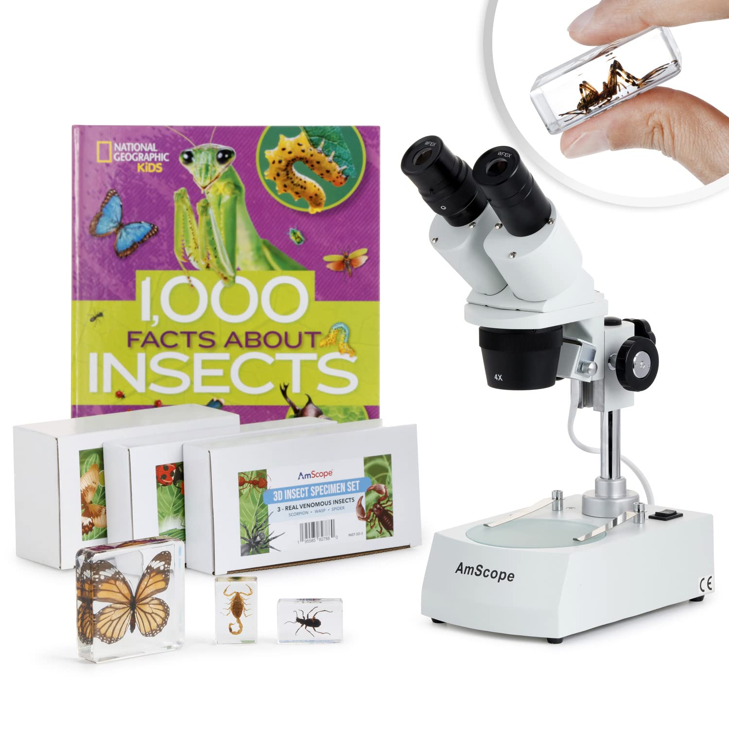 AmScope SE306R-BKI-INST Student Stereo Microscope, 20X-40X