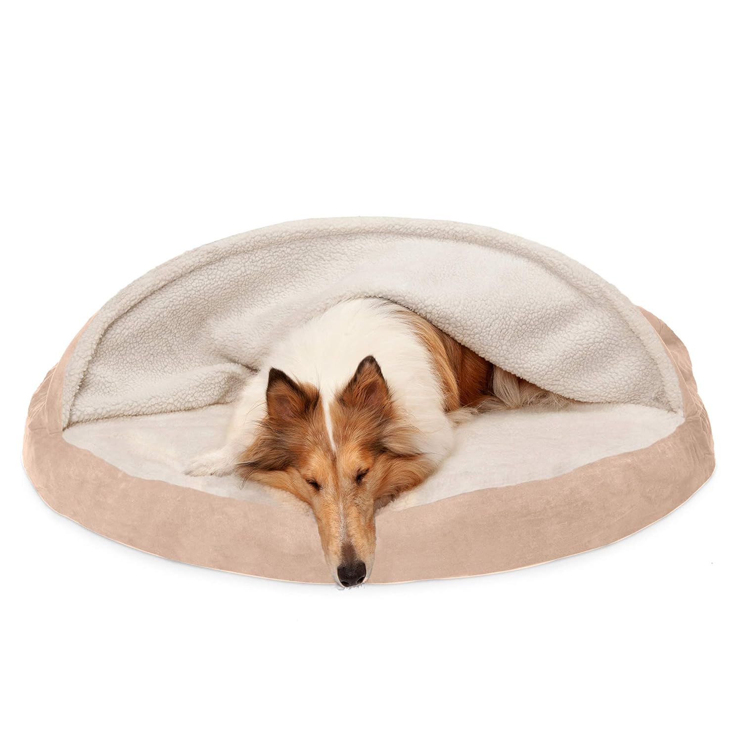 furhaven burrow dog bed