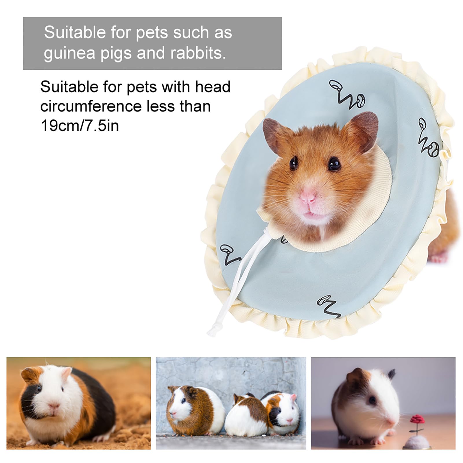 Elizabeth Circle Collier de Protection pour Lapin Cochon d'Inde, Collier de Récupération Réglable pour éviter L'aggravation des Blessures, adapté aux Petits Animaux de Compagnie, en
