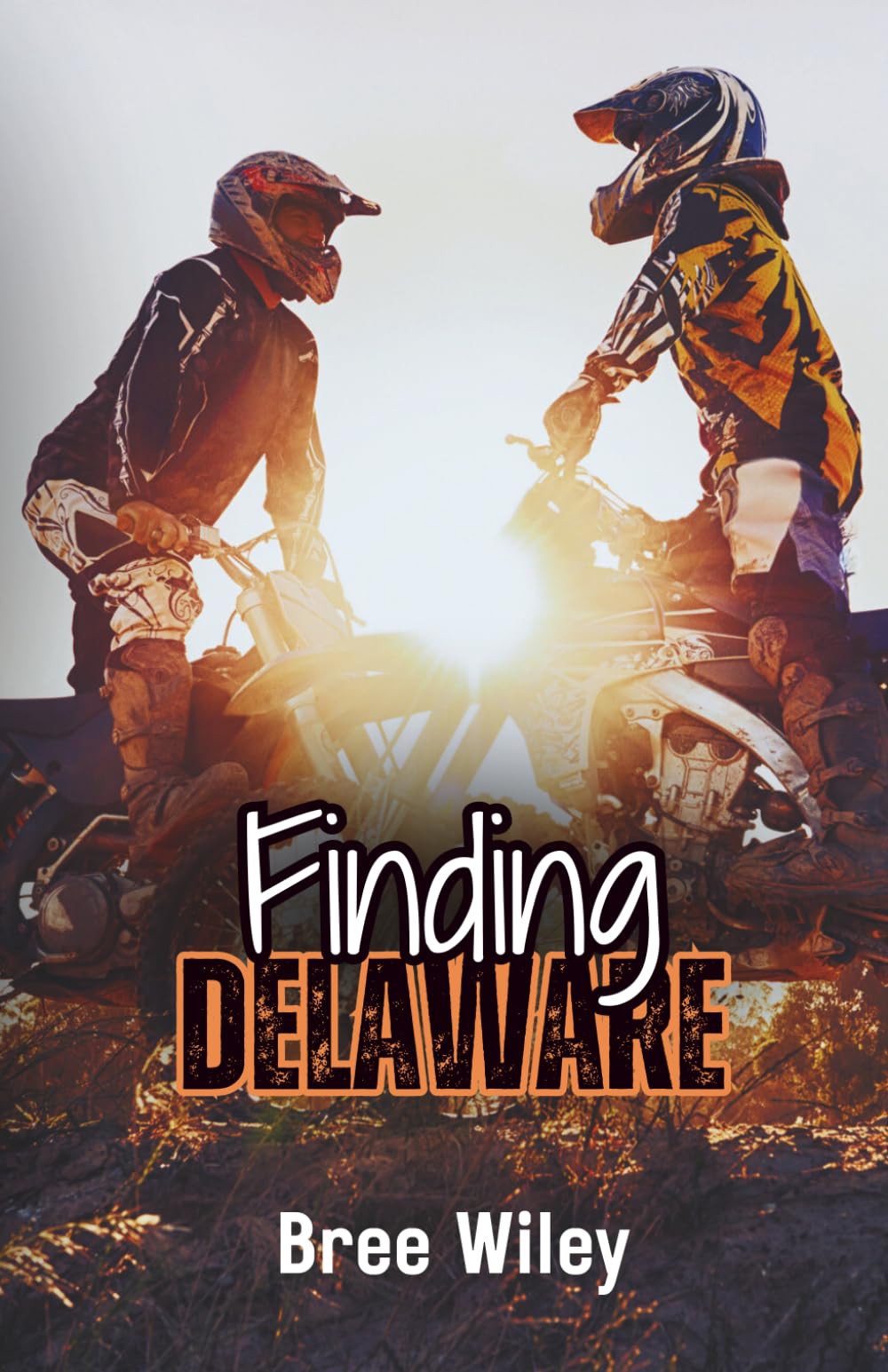 Finding Delaware (State of Us, Band 1)