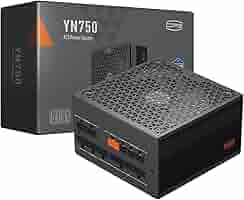 Amazon | PCCOOLER CPS YN750 電源、80 Plus Gold 認定 完全