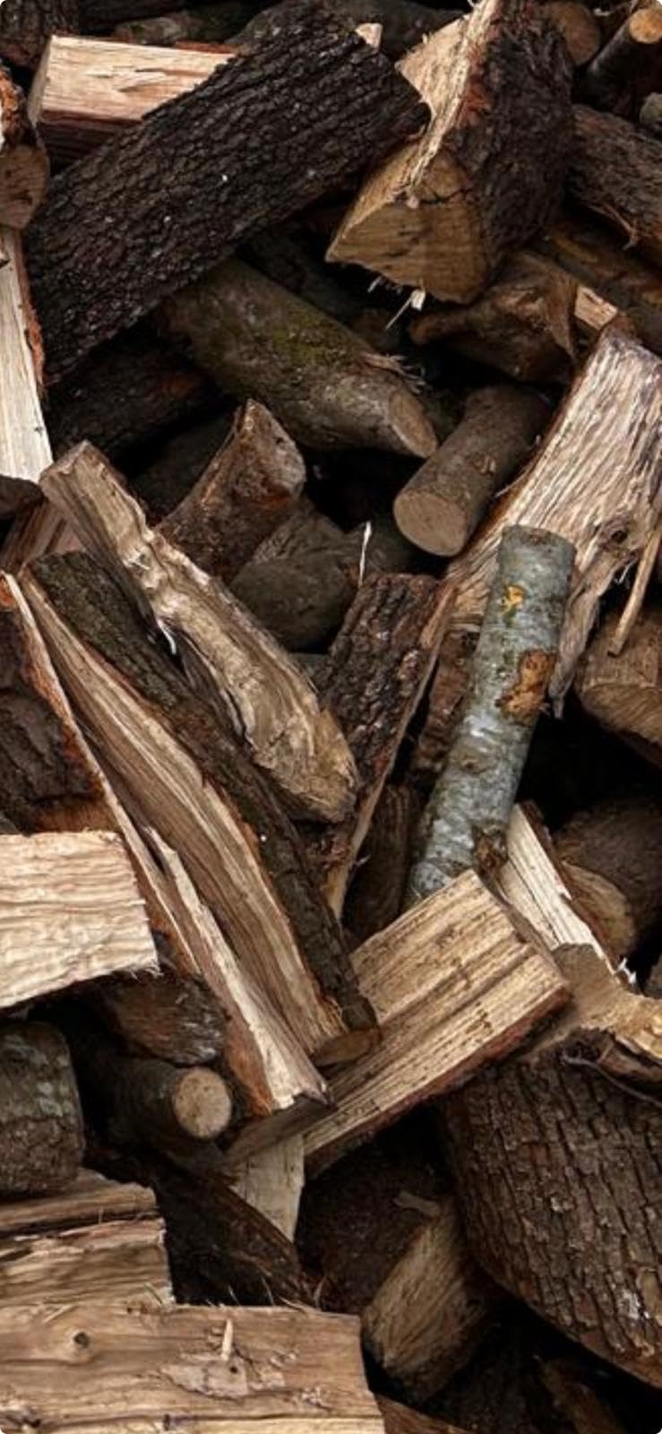 Legna da Ardere di Quercia Stagionata per Camino Stufa e Barbecue,10 kg Essiccata