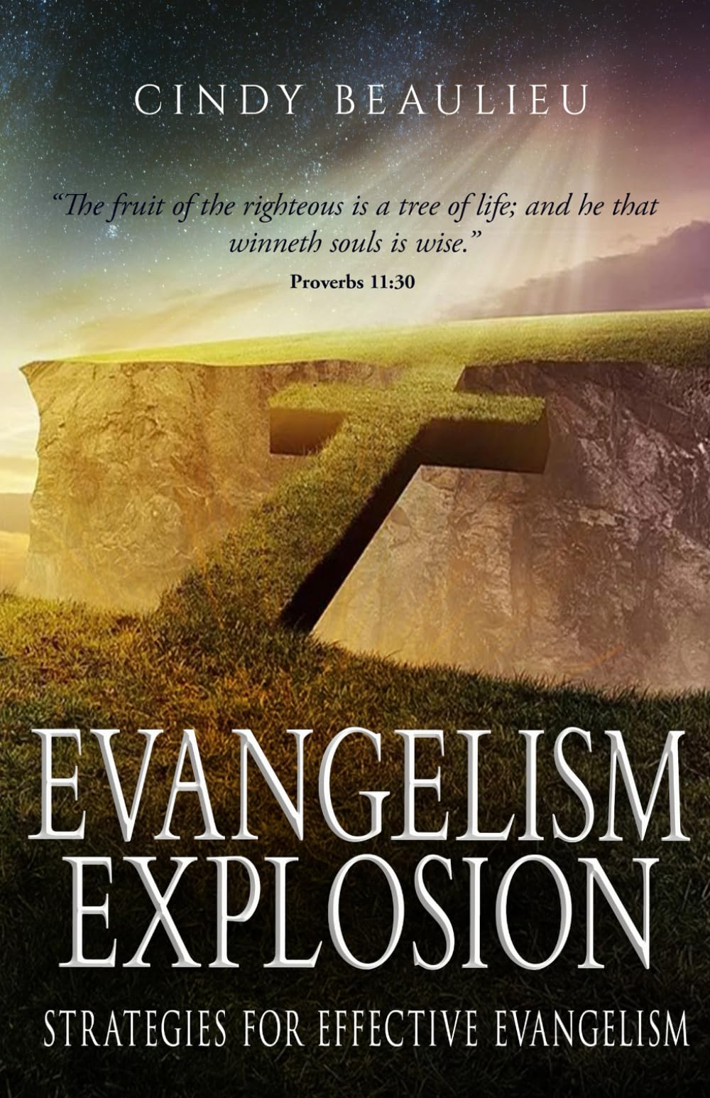 Evangelism Explosion: Strategies for Effective Soul-Winning