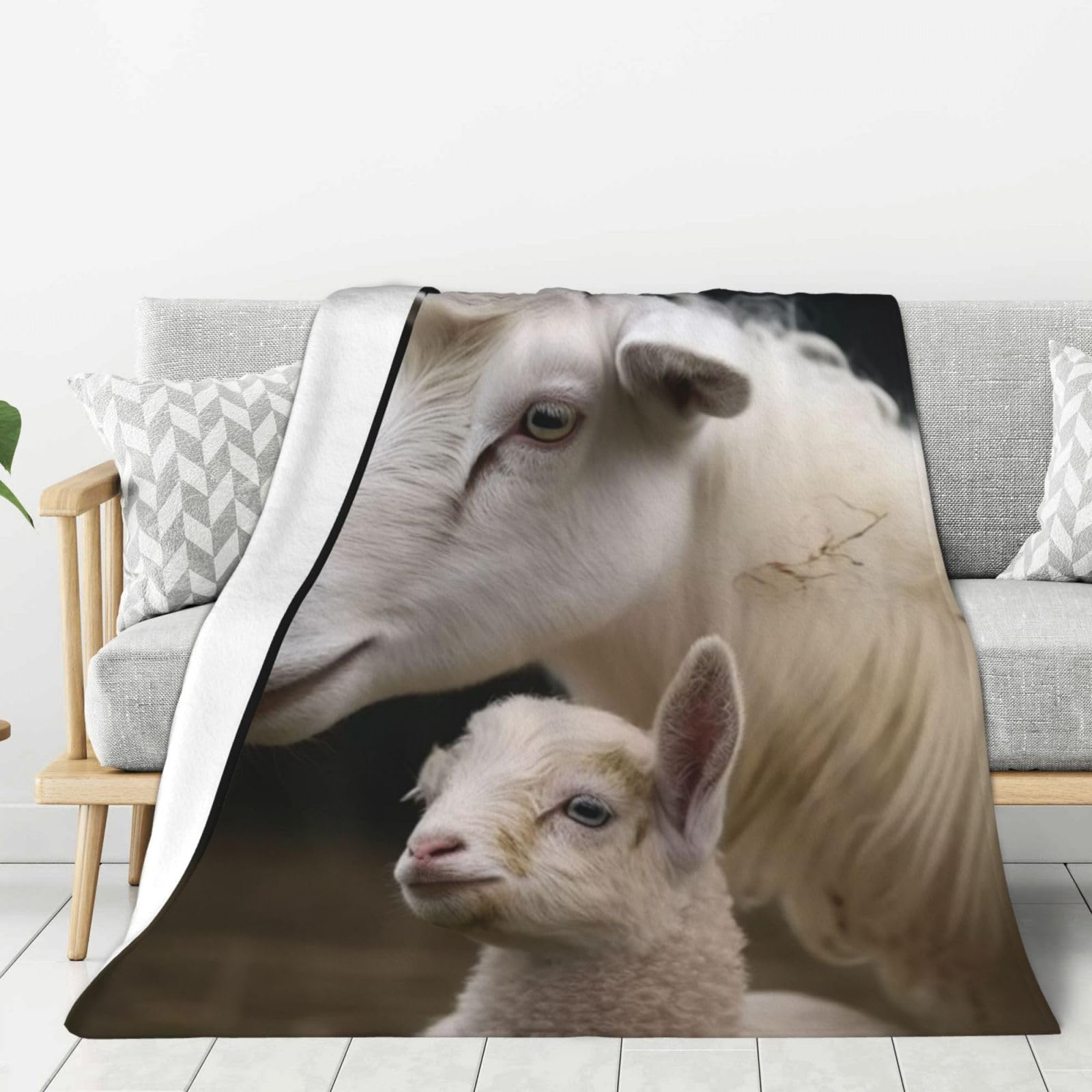 Couverture canapé mouton en flanelle douce pour des soirées cocooning réussies