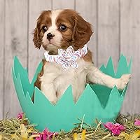 Vista 140 de Lionheart glory Collar de perro con bandera estadounidense, collar de flores para perro del 4 de julio, resistente y ajustable, collar patriótico