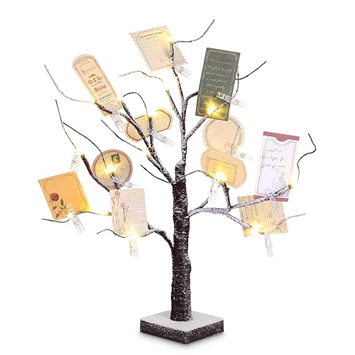 Coume Money Tree Gift Card Holder 1.5 ft Tabletop Display Tree with 72 LED Lights 15 Clear Clips Silver Display Birch Twig for Money Wedding Card Photo Birthday Valentine
