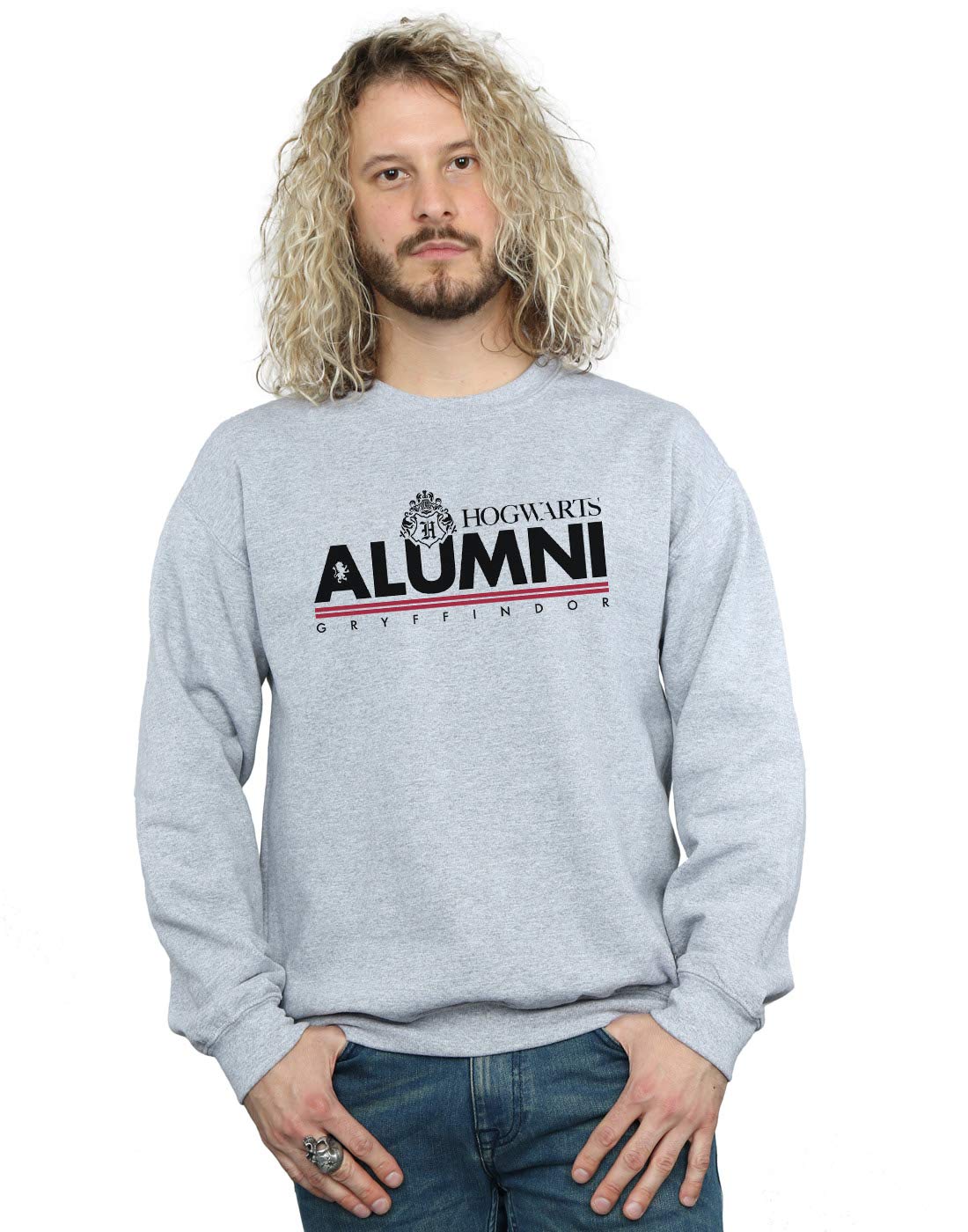 Harry Potter Men's Hogwarts Alumni Gryffindor Sweatshirt Sport Grey Large