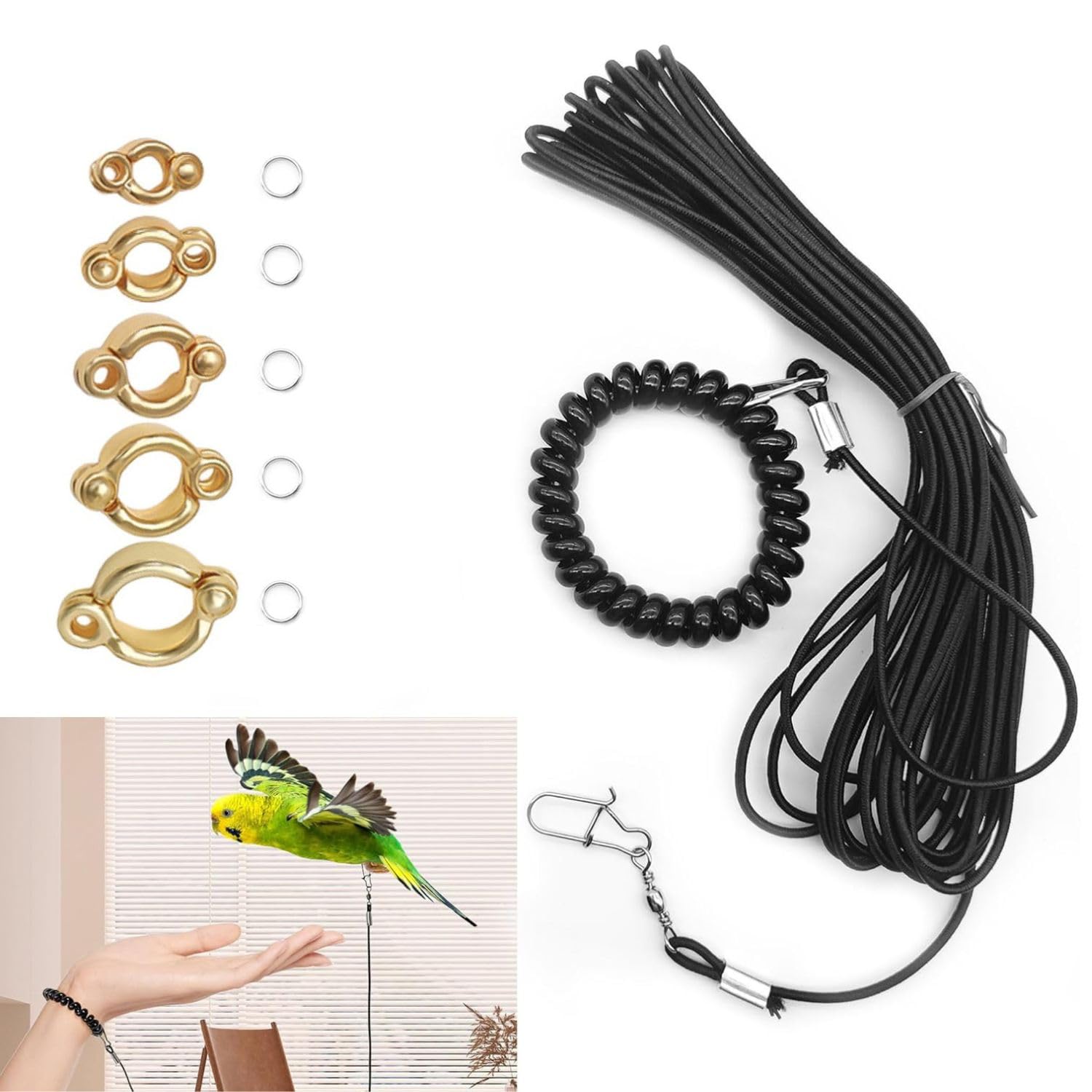 BendJoy® 300 cm Bird Harness with 5 Different Size Parrot Ring & Anti Lost Bracelet for Cockatiels, Parrots, Small Birds Multiple Ring Sizes | Durable Elastic Rope | Safe Outdoor Training Control-image-42