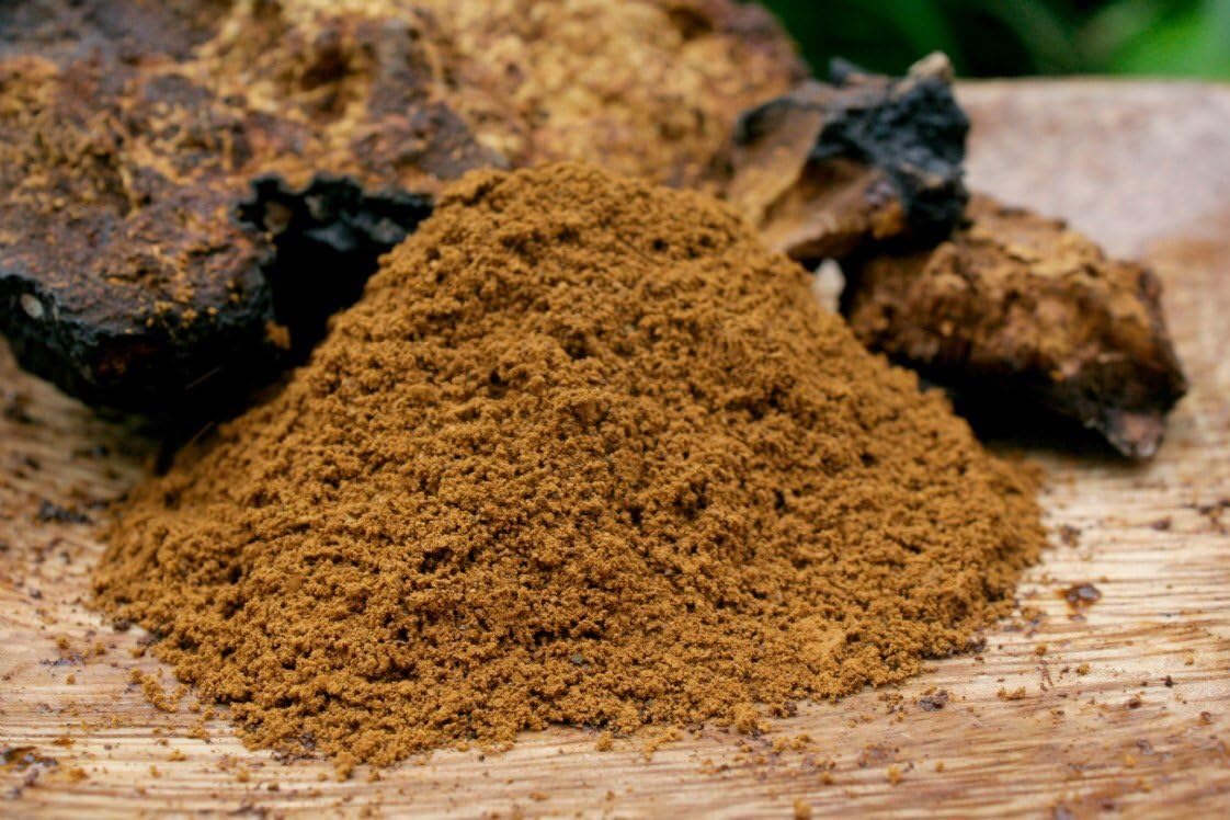 Chaga Powder by Kingdom Botanicals (4 oz) Wild Harvested from Maine Woods