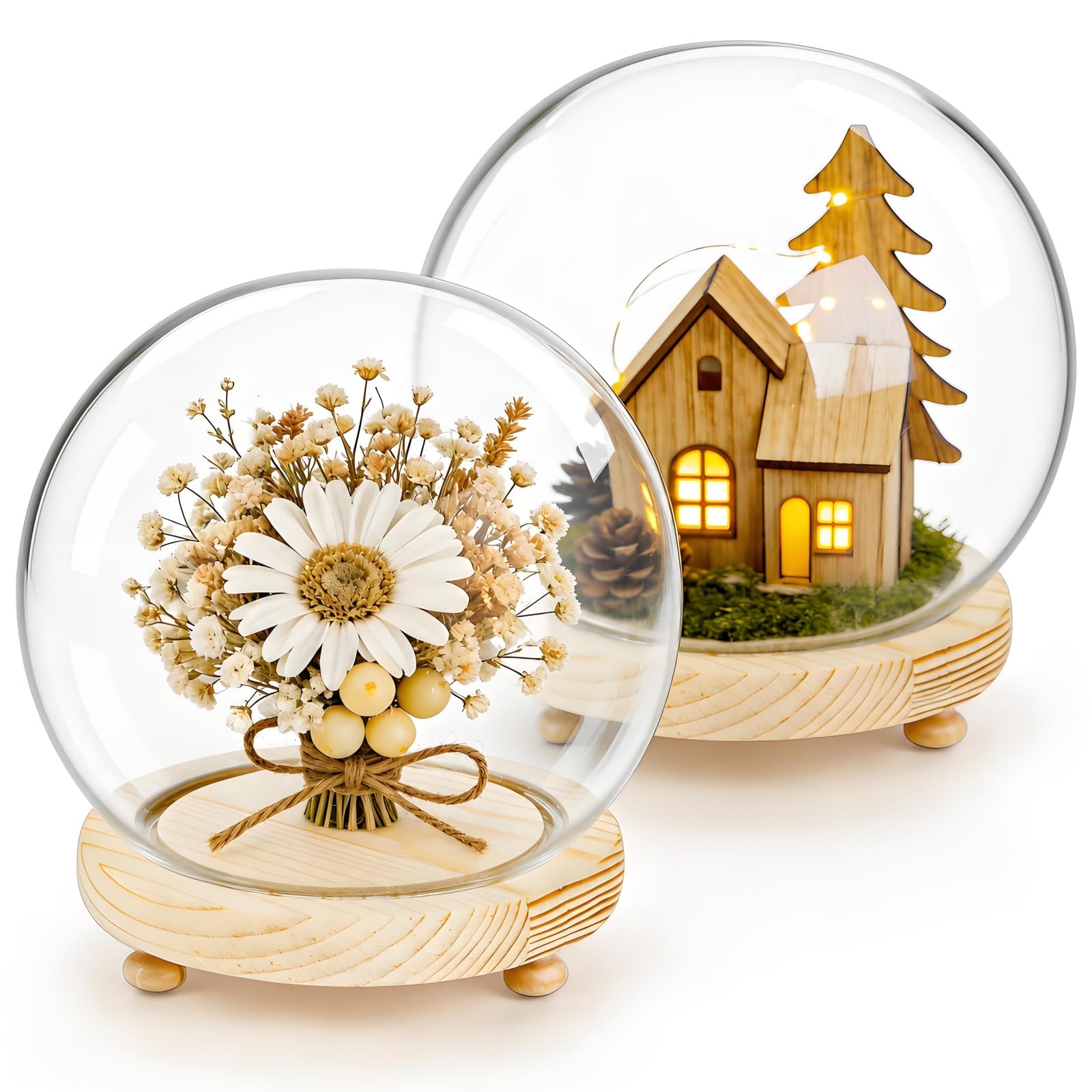 Amazon.com: Pumtus 2 Pack Clear Glass Dome Cloche, 6 Inch