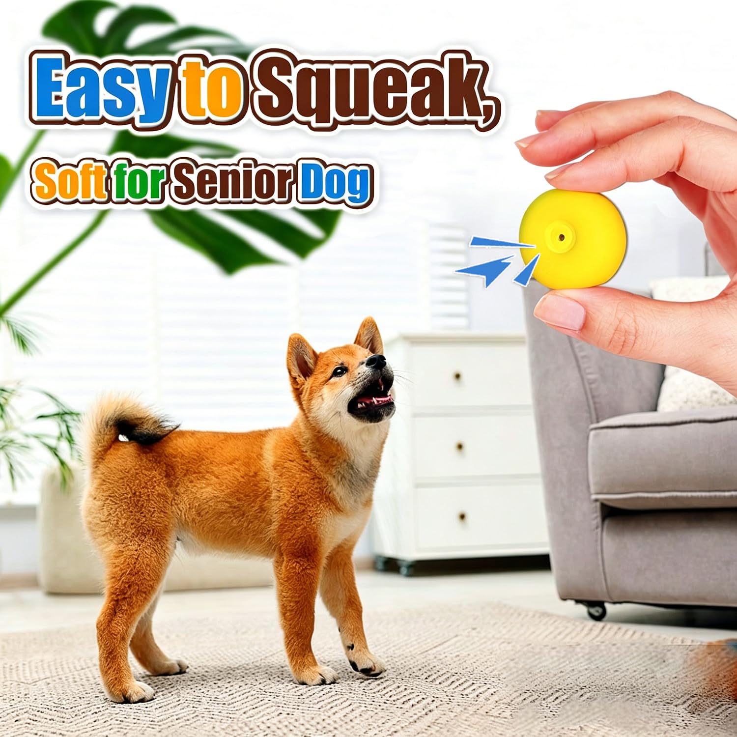 Small Dog Squeaky Toys - Latex Ball for Puppies -2