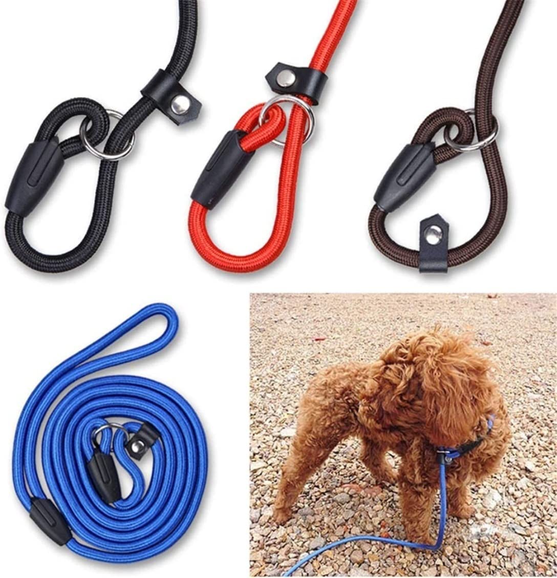 Guinzaglio Per Cani Guinzaglio Per Cani Da Compagnia Corda Per Addestramento Regolabile In Nylon Guinzaglio Per Cani Da Compagnia Cinghia Per Cani Corda Per Trazione Imbracatura Per Cani Guinzaglio Pe