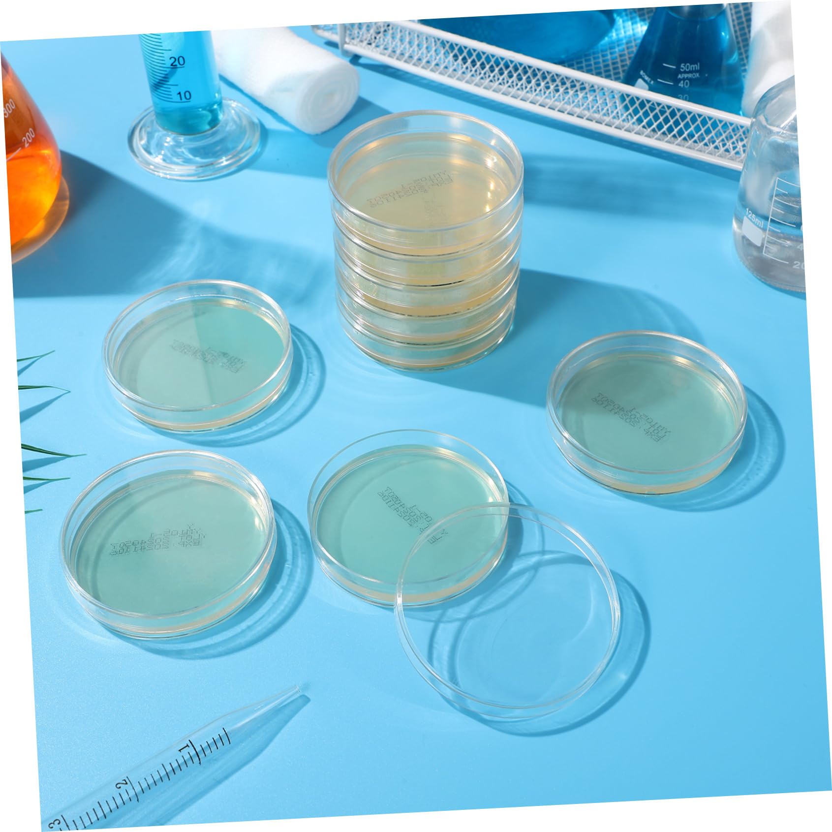 Piastre Petri Agar Nutrienti 7cm Pronte All’uso, 10 Pezzi | Esperimenti di Microbiologia e Scienze Stem, Supporto Didattico per Studenti e Scuola