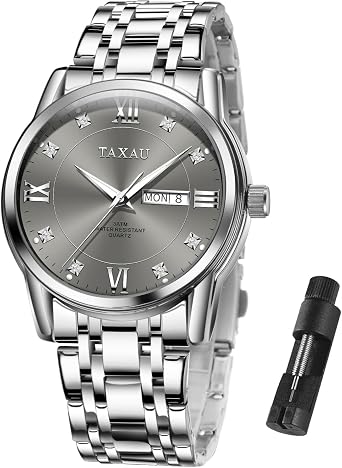Taxau Armbanduhr Herren Chronograph Analogue Quartz Uhr Herren Edelstahl Wasserdicht Leuchtende Klassische Luxus Business Herrenuhren Geschenke für Männer