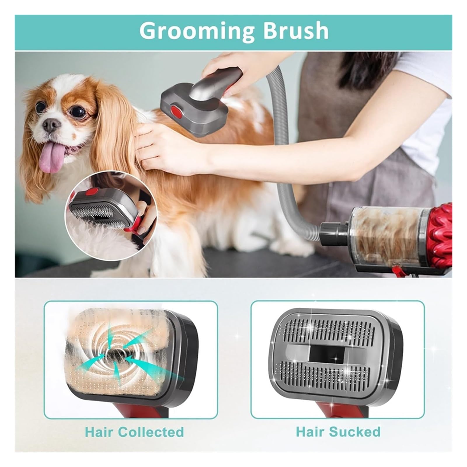 Amazon | ペット犬用グルーミングキット、ダイソン対応、掃除機V7 V8